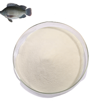 Factory Supply Anti-aging Health Food Pure Fish Skin And Scales Collagen Peptide Granule For Supplement